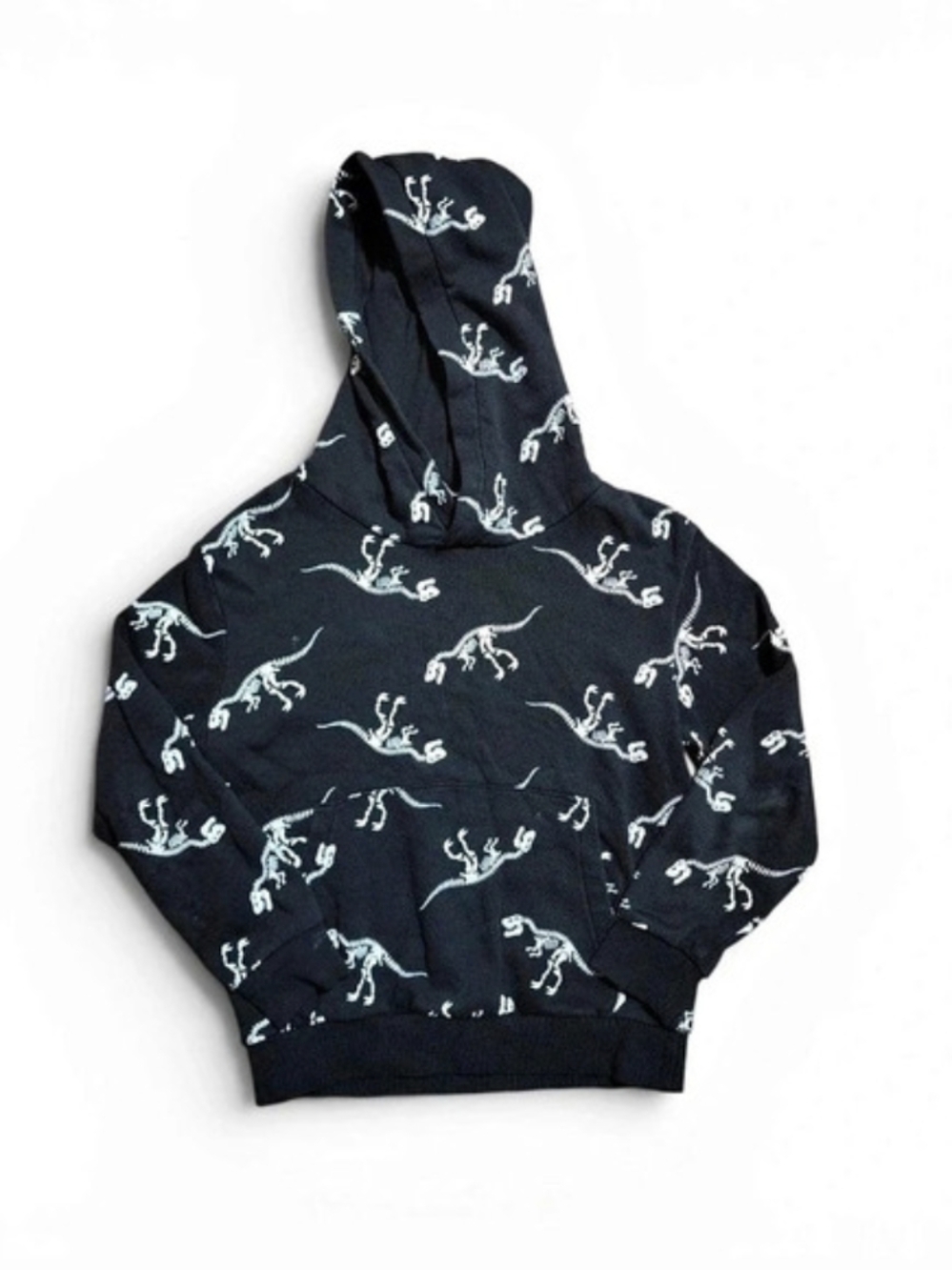 Dinosaur Print Hoodie H&M